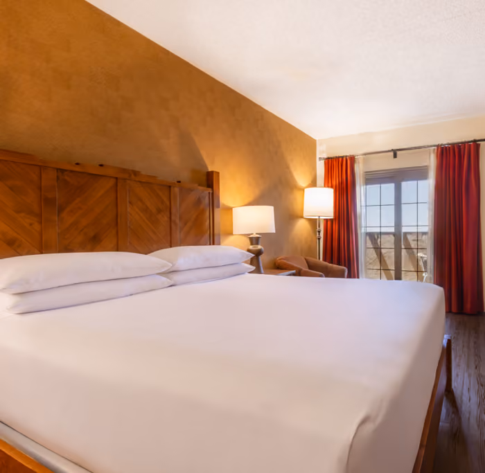 Deluxe King guest room