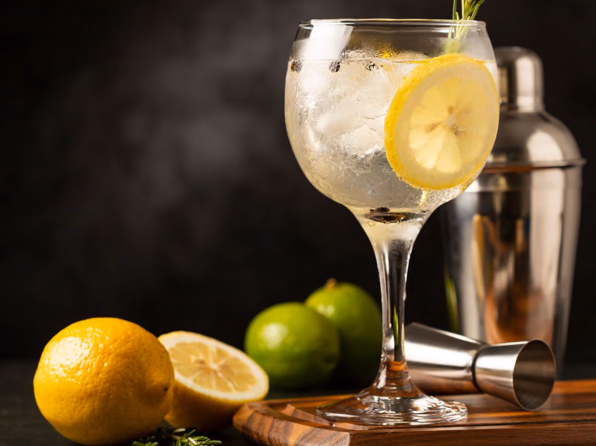 Glass of Gin and Tonic with lemon slices