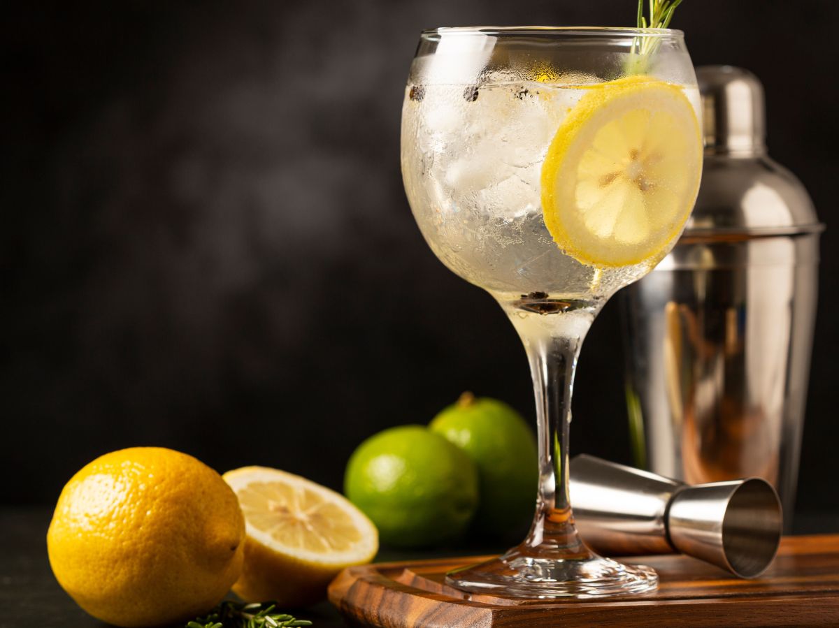Glass of Gin and Tonic with lemon slices
