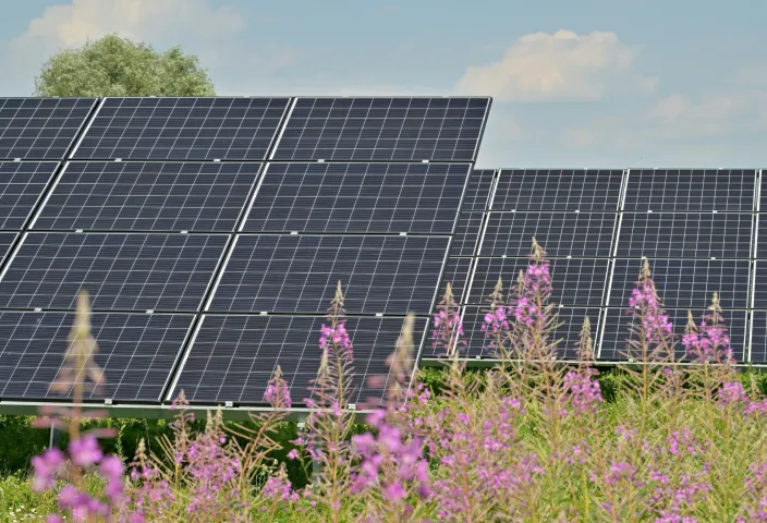 Solar Panel Photo