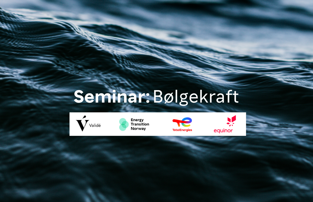 Seminar: Bølgekraft