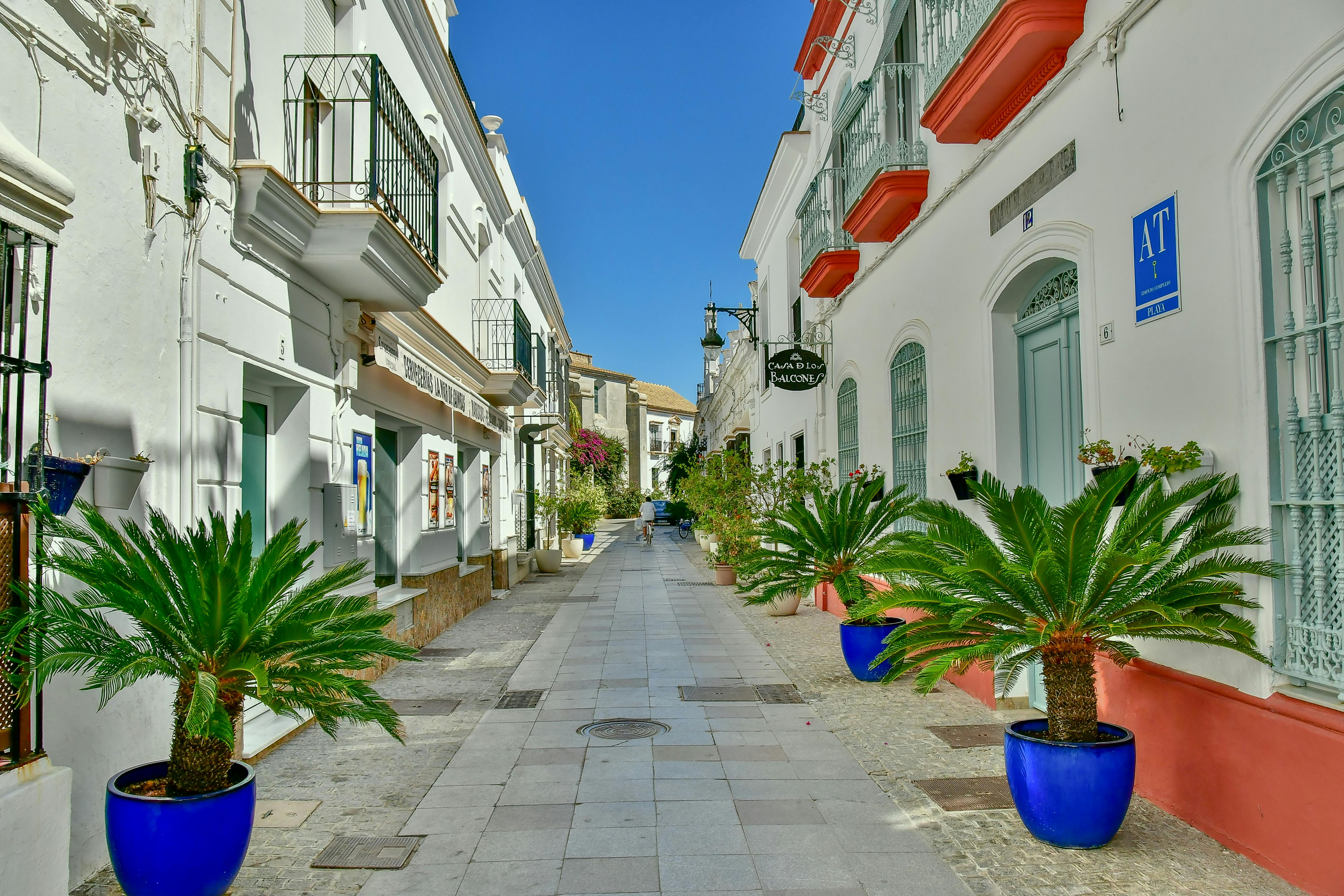 Estepona Short Term Rental Market Trends May 2026