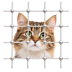 Service Tab Icon