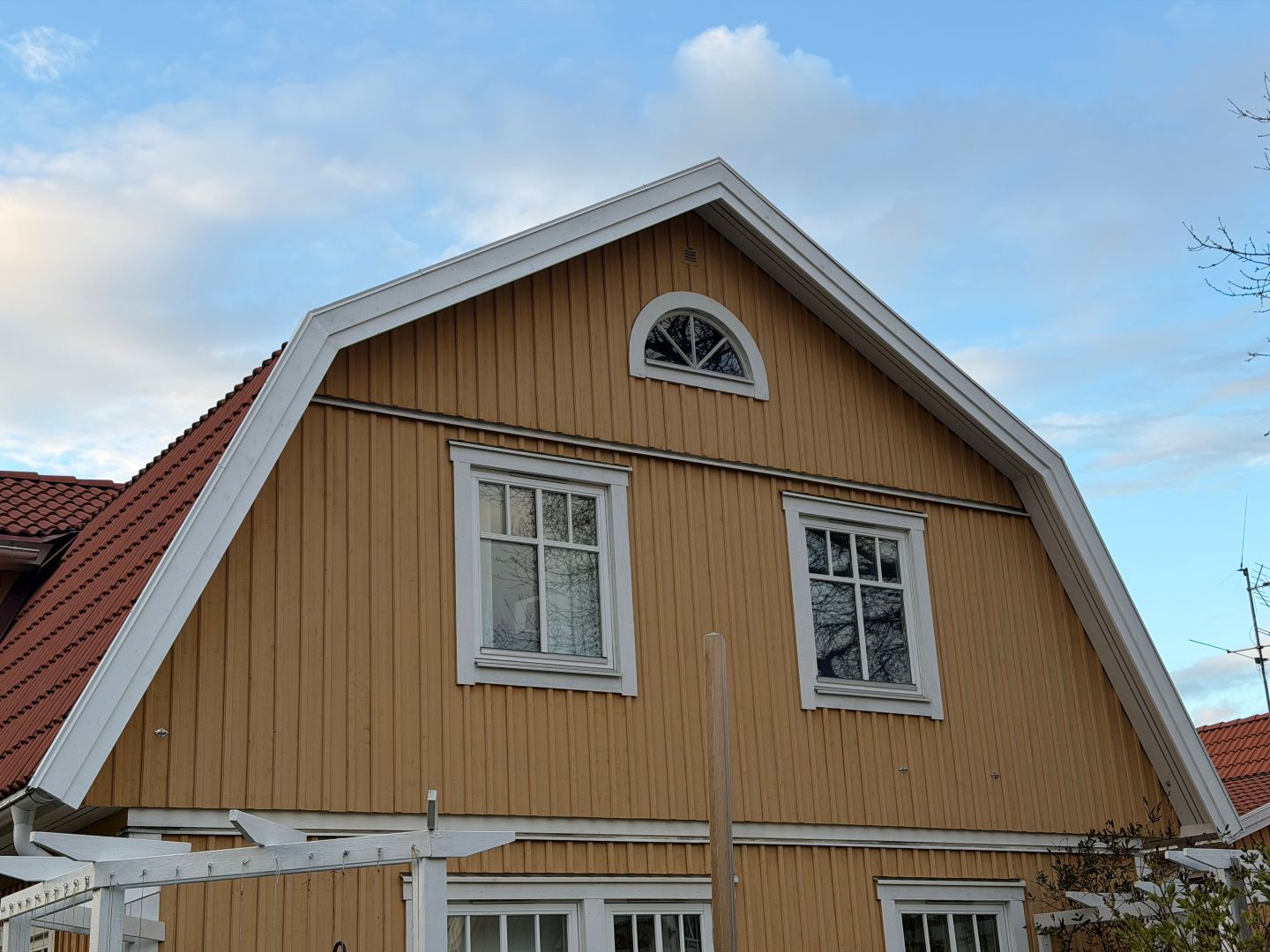 Blog Single Image