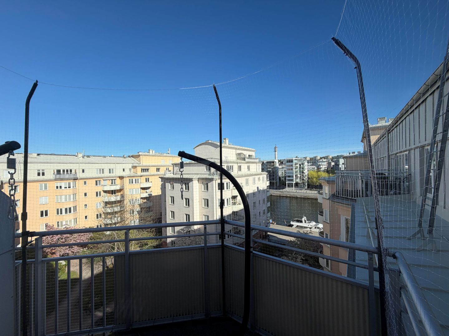 Blog Single Image