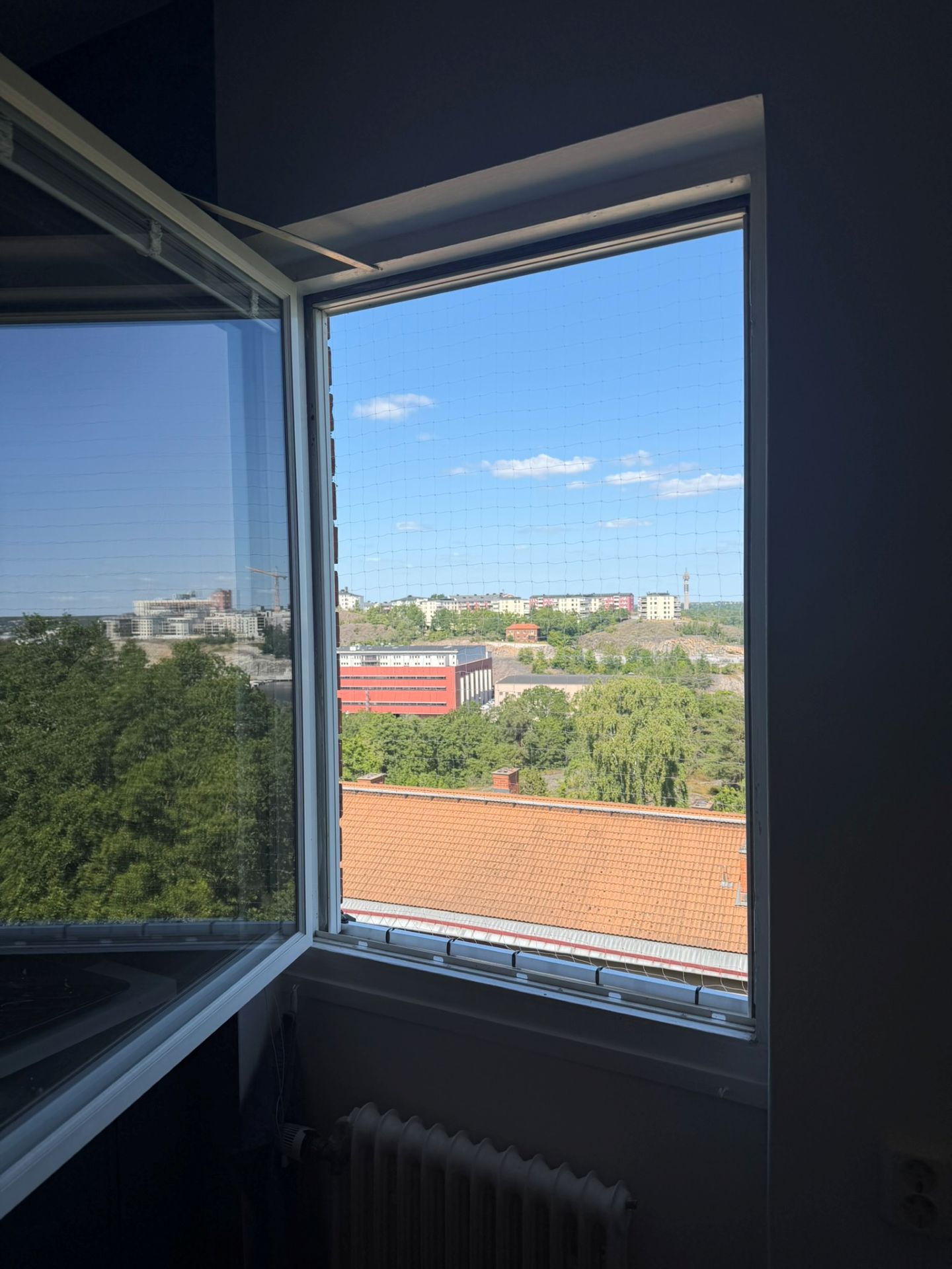 Blog Single Image