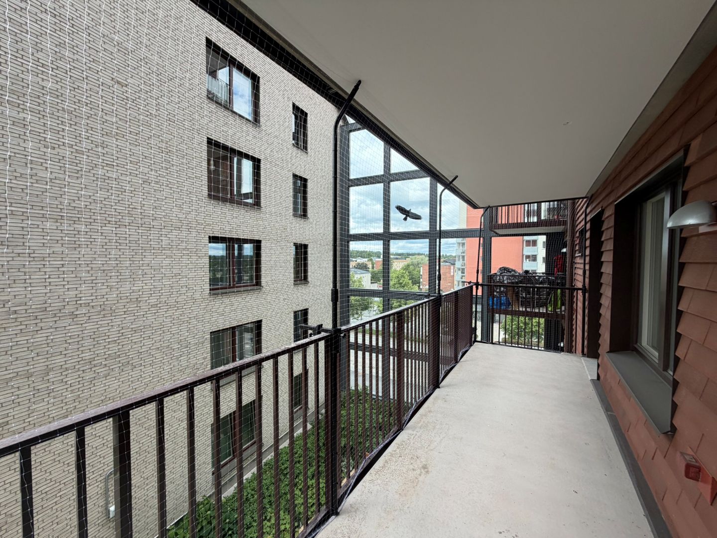Blog Single Image