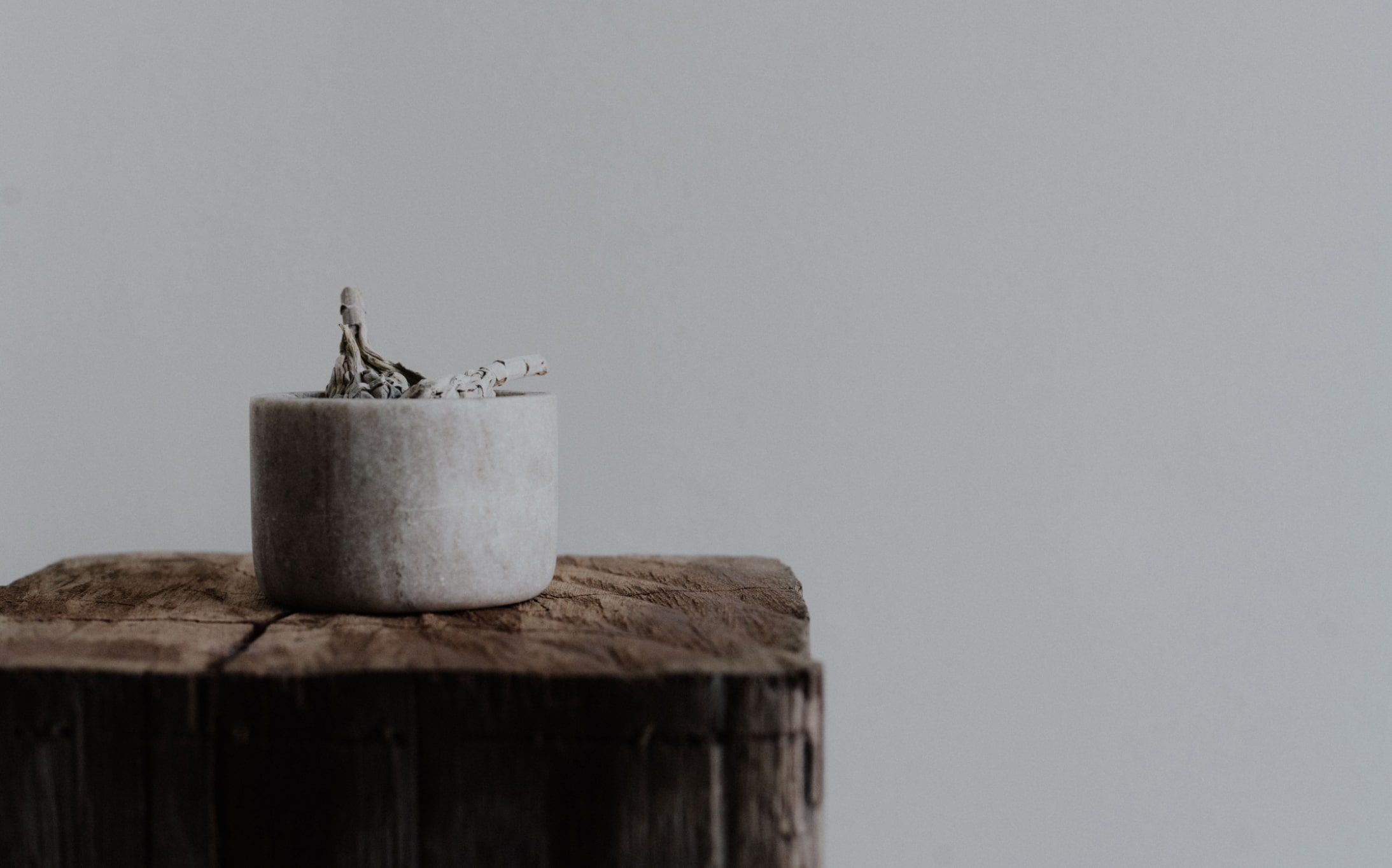 A plant pot on top of a wooden stand