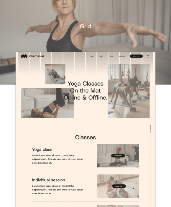 A presentation of Life on the mat's website grid