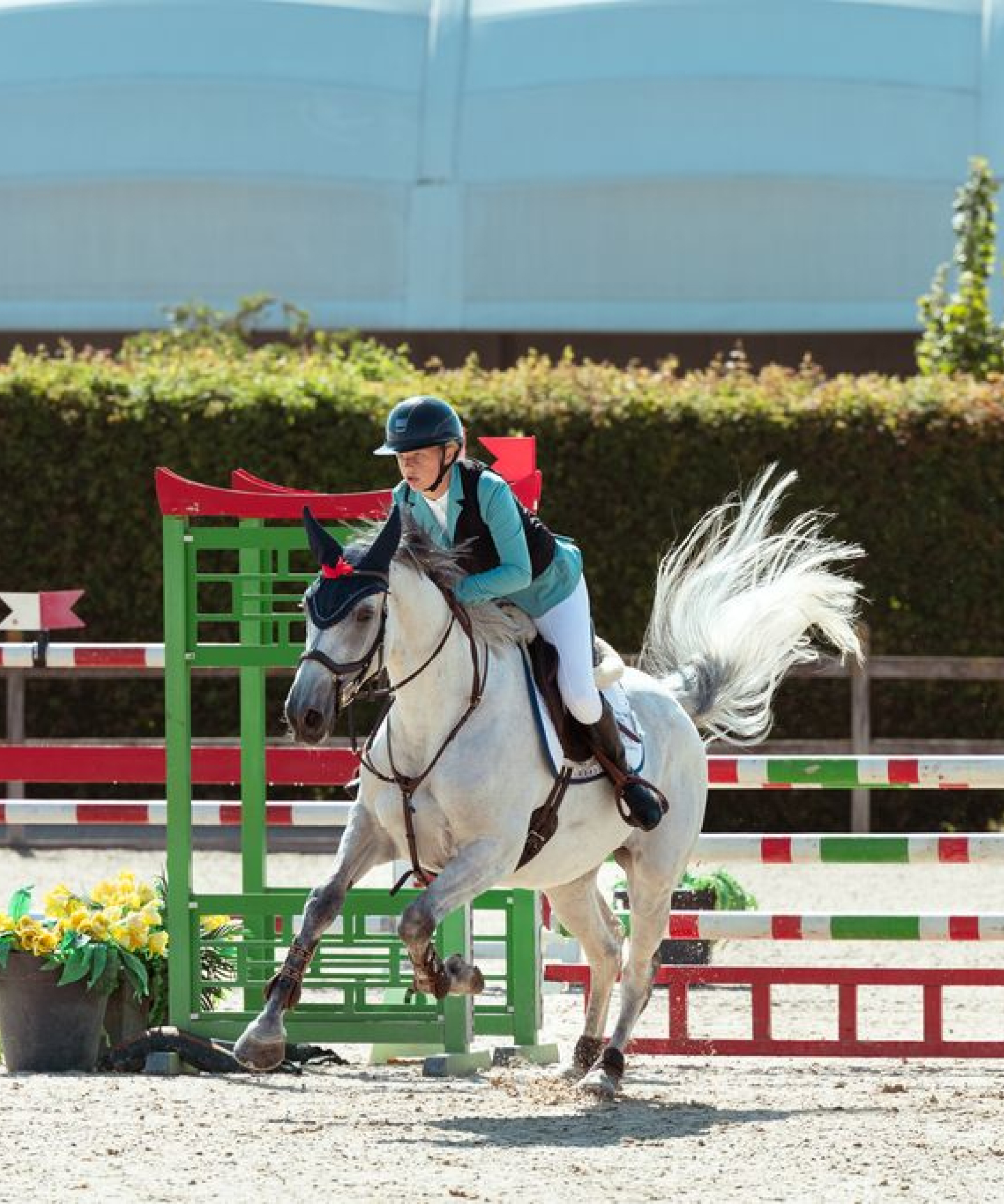 A Landmark Two Weeks at CSI Šamorín: Our Students Shine on the International Stage