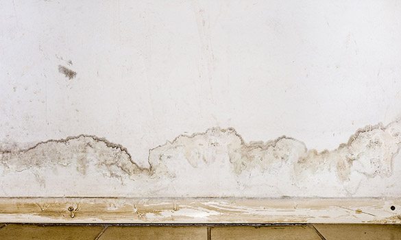 Water Damage Restoration in Rockville MD