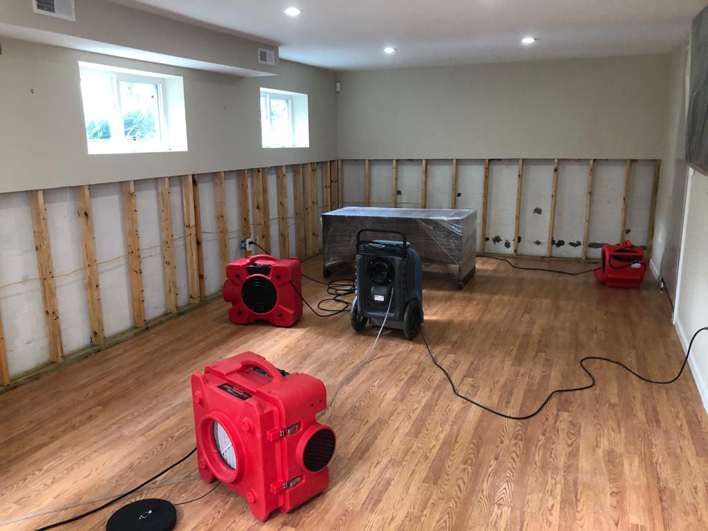 Mold Remediation equipment in Silver Spring, MD