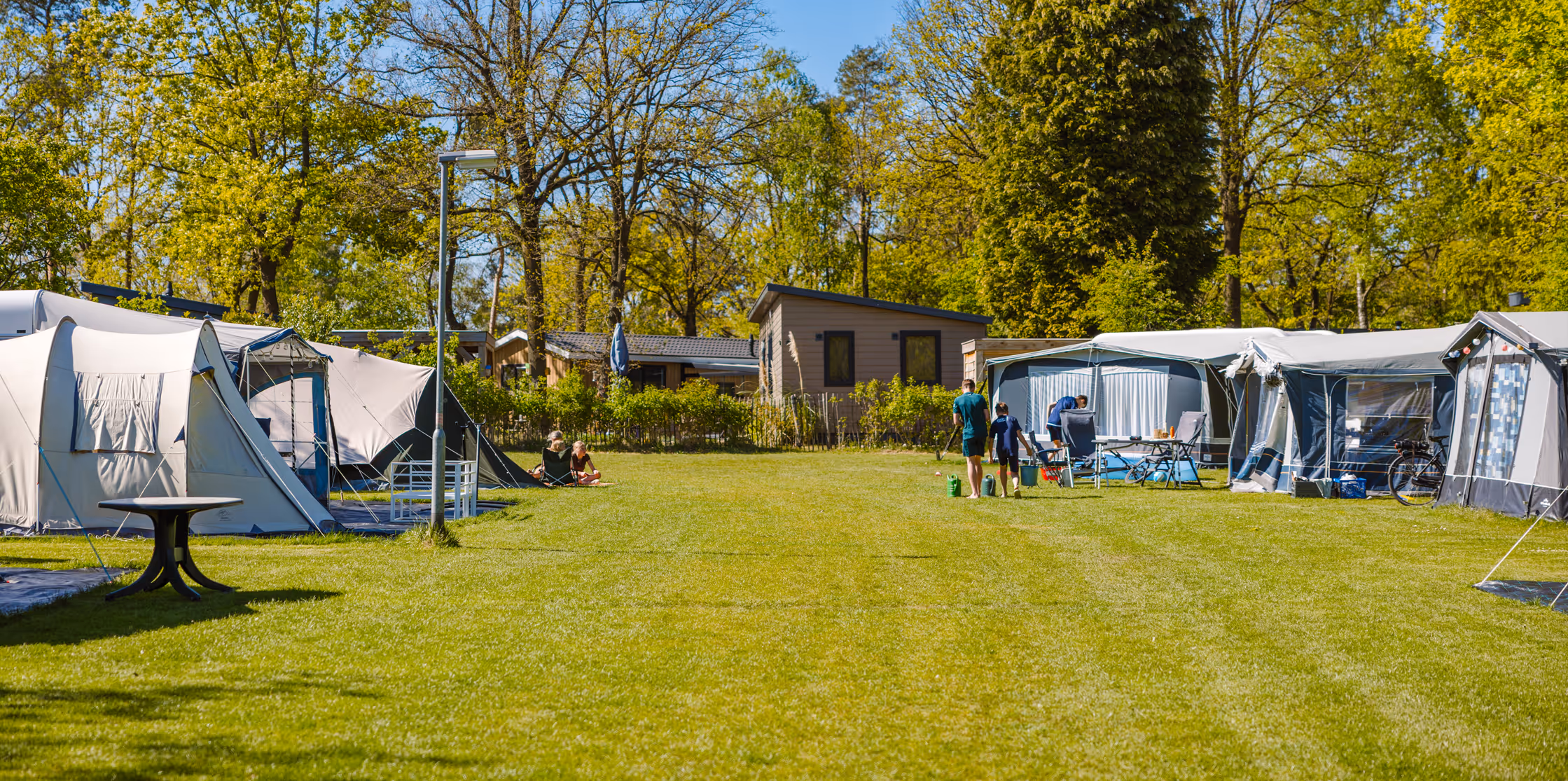 Mensen kamperen bij tenten op een zonnig grasveld omgeven door bomen en houten chalets.