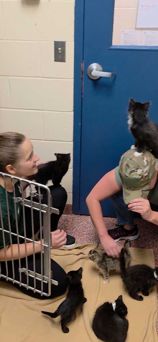 spca 2026 youngclaus cpa team vist for volunteer work 3