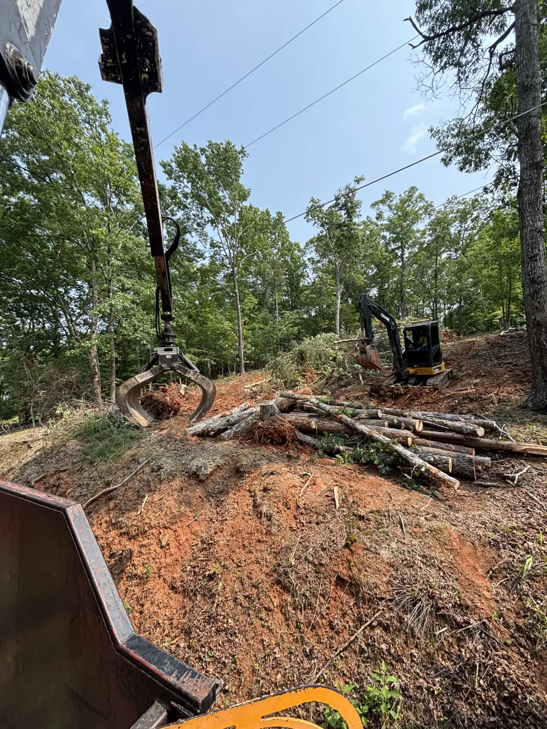 Organizing tree trunks during land clearing process