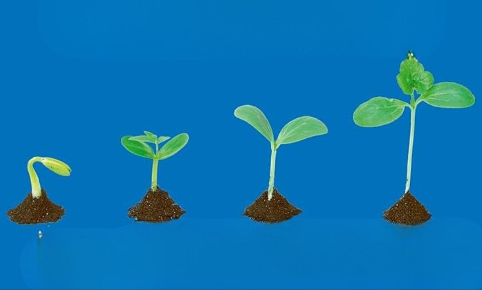 ONLINE Webinar: The Compassionate Parenting Workbook – Authors Talk