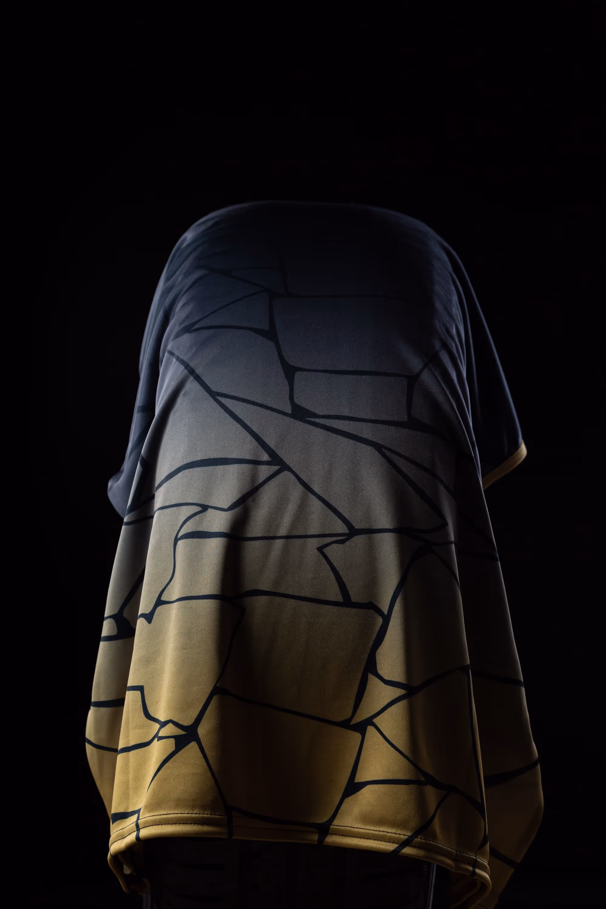 Photographie d'une salle de sport. Zoom sur un rack d'haltères.