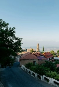 A Journey Through Up-and-Coming Wine Regions