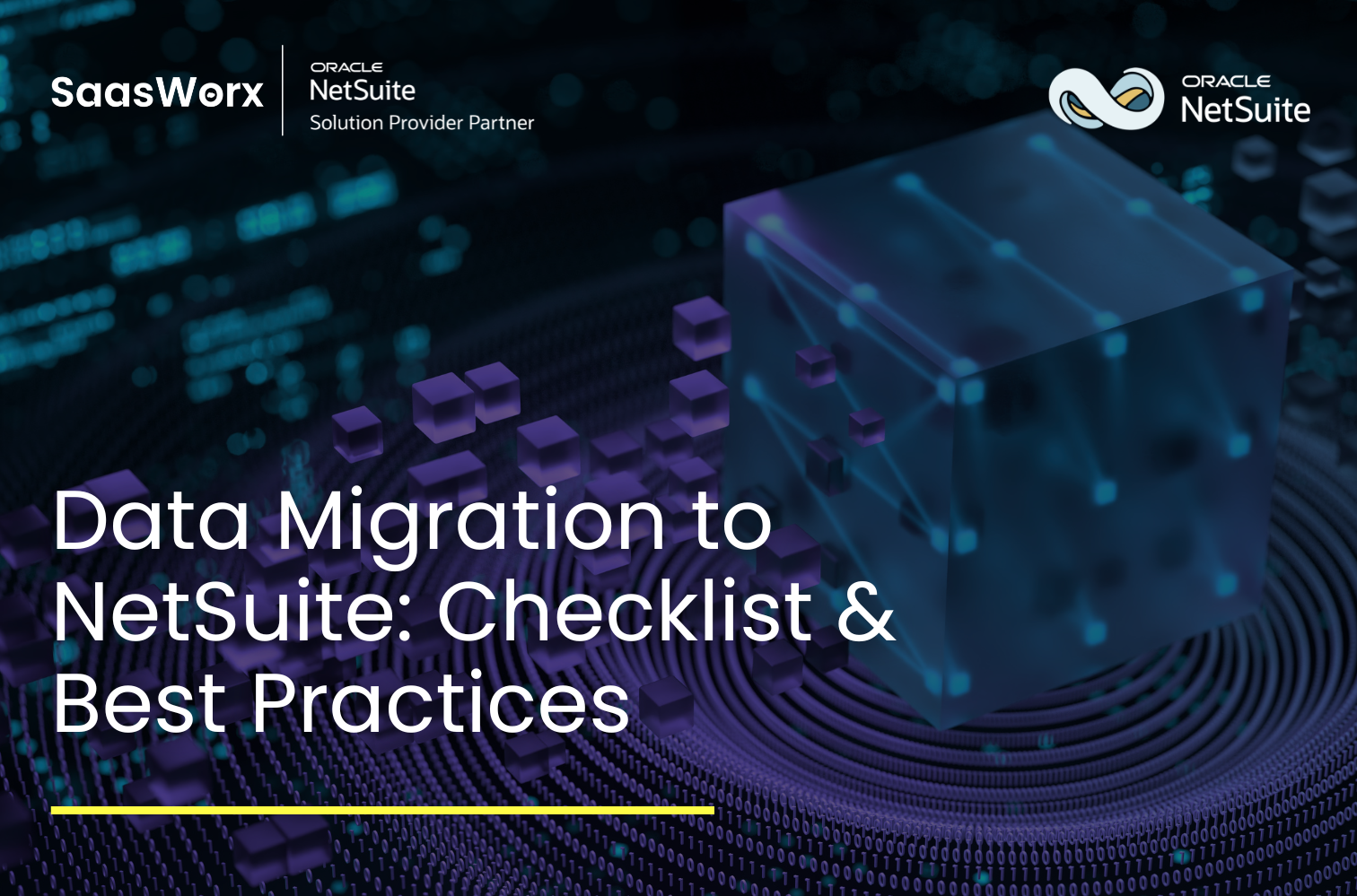 NetSuite Data Migration