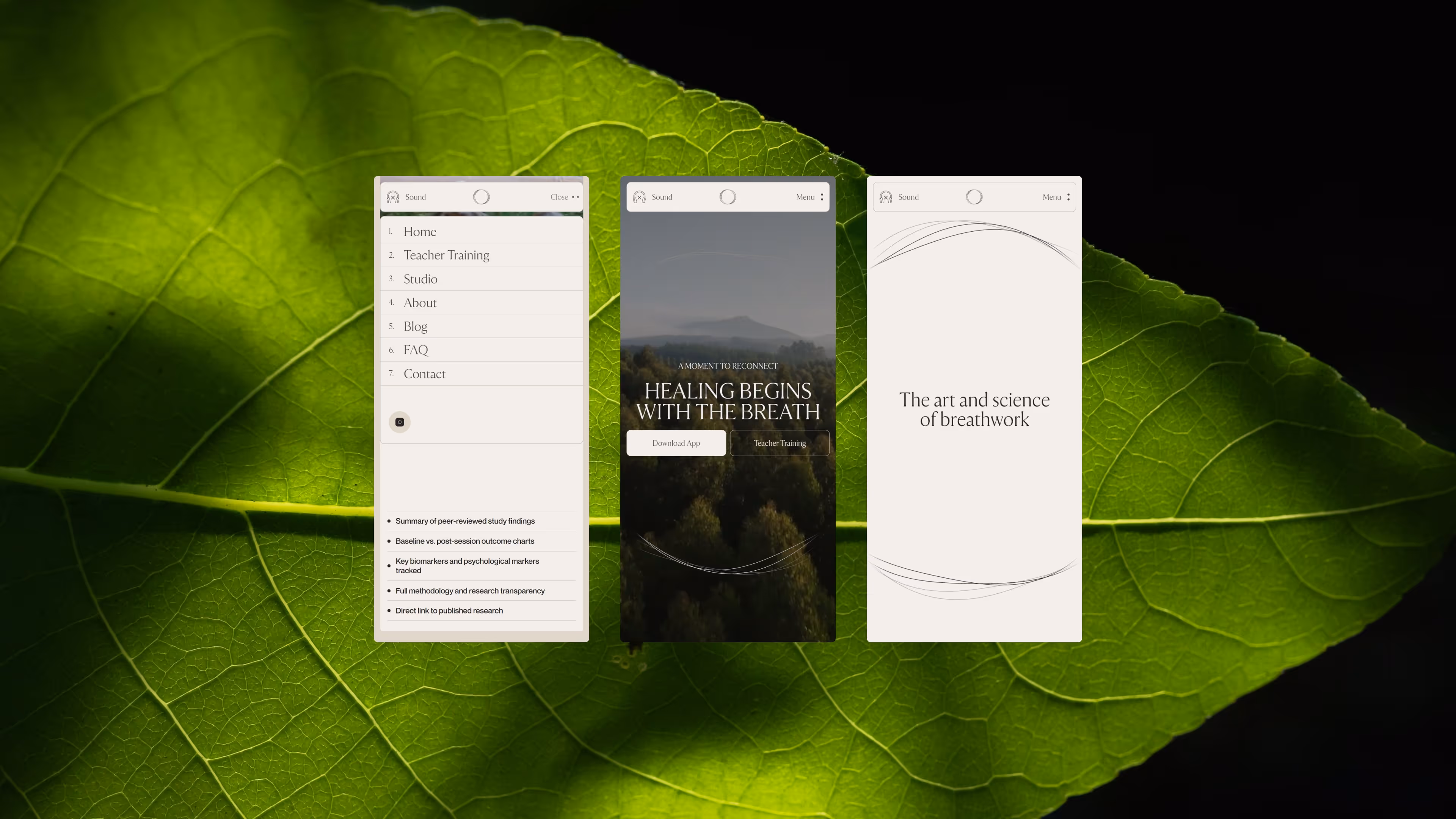 Frequency Breathwork