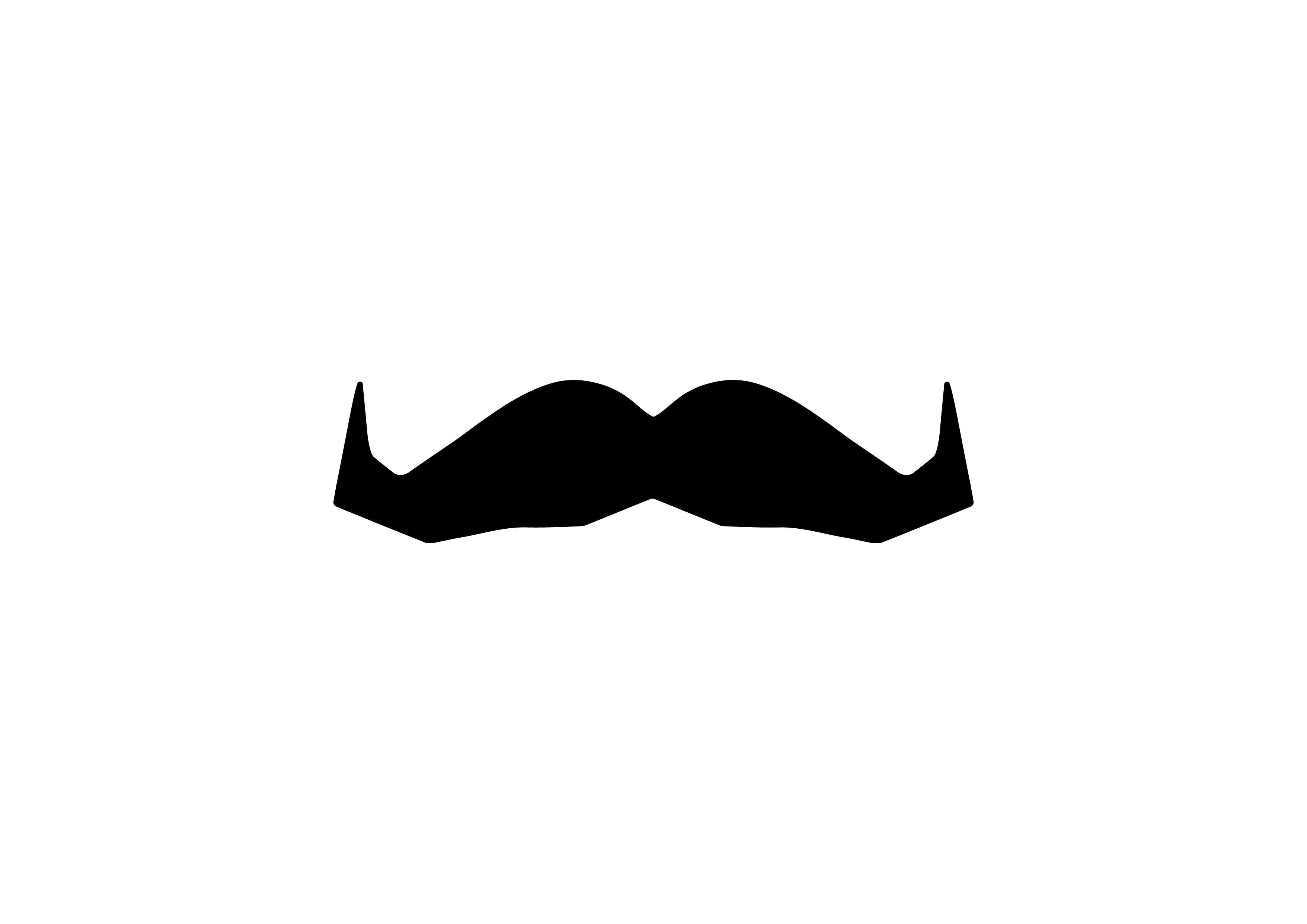 image of moustache