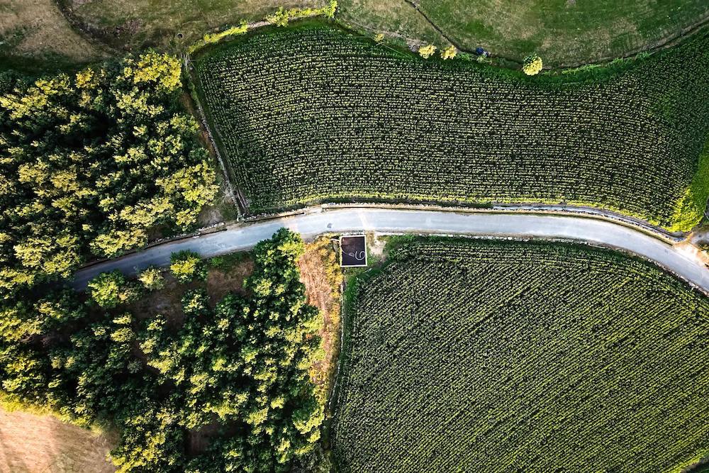 Blog Thumbnail Image