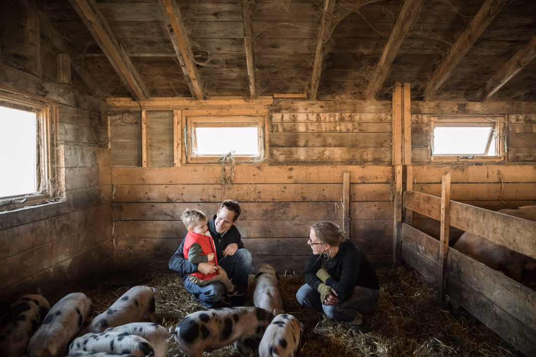 Family in the pig pen