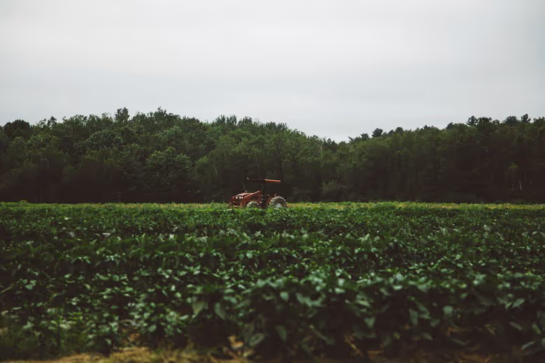 A tractor sits in a field