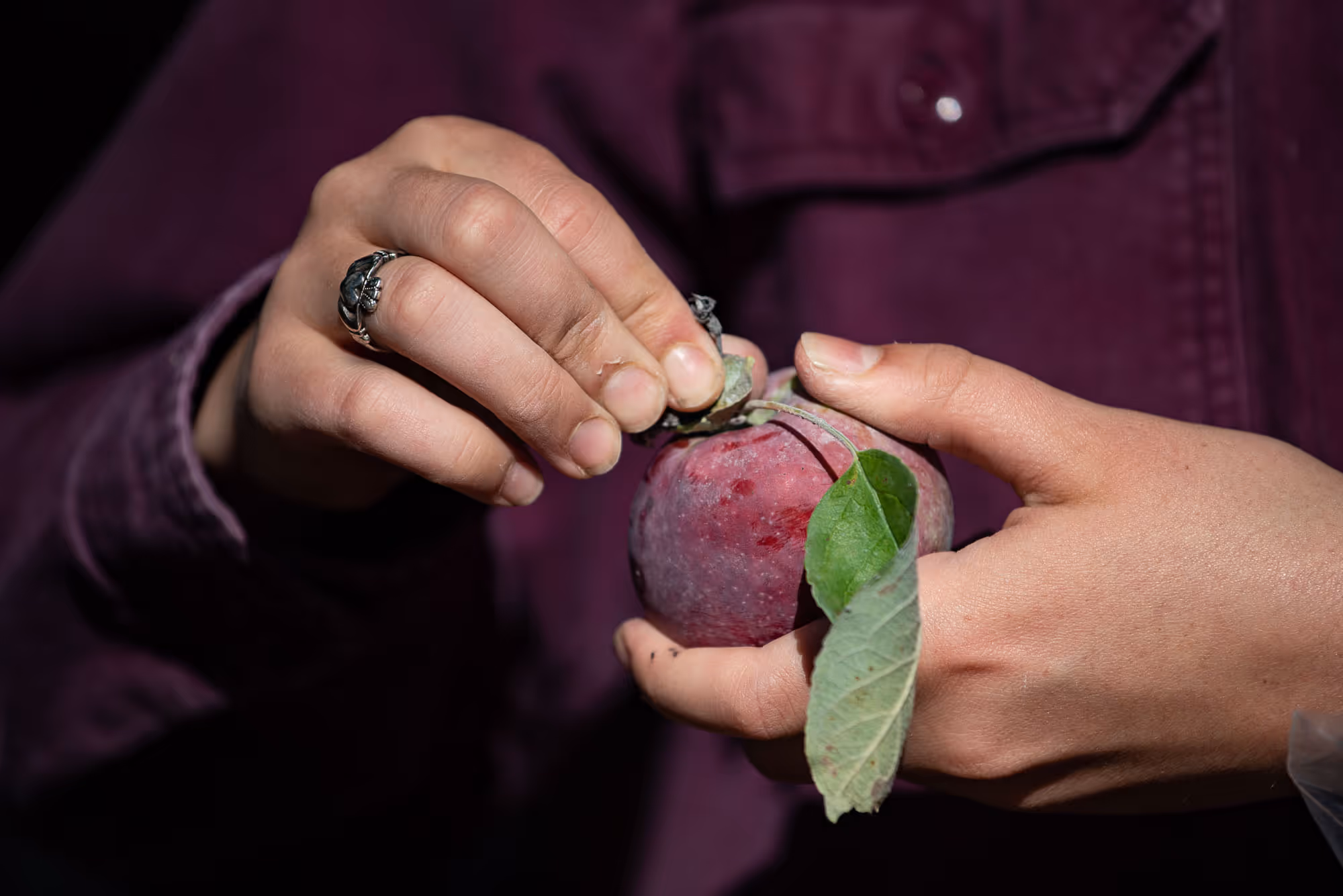 A person holding an apple