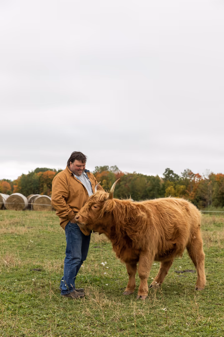 A man standing next to a brown cow on a lush green field