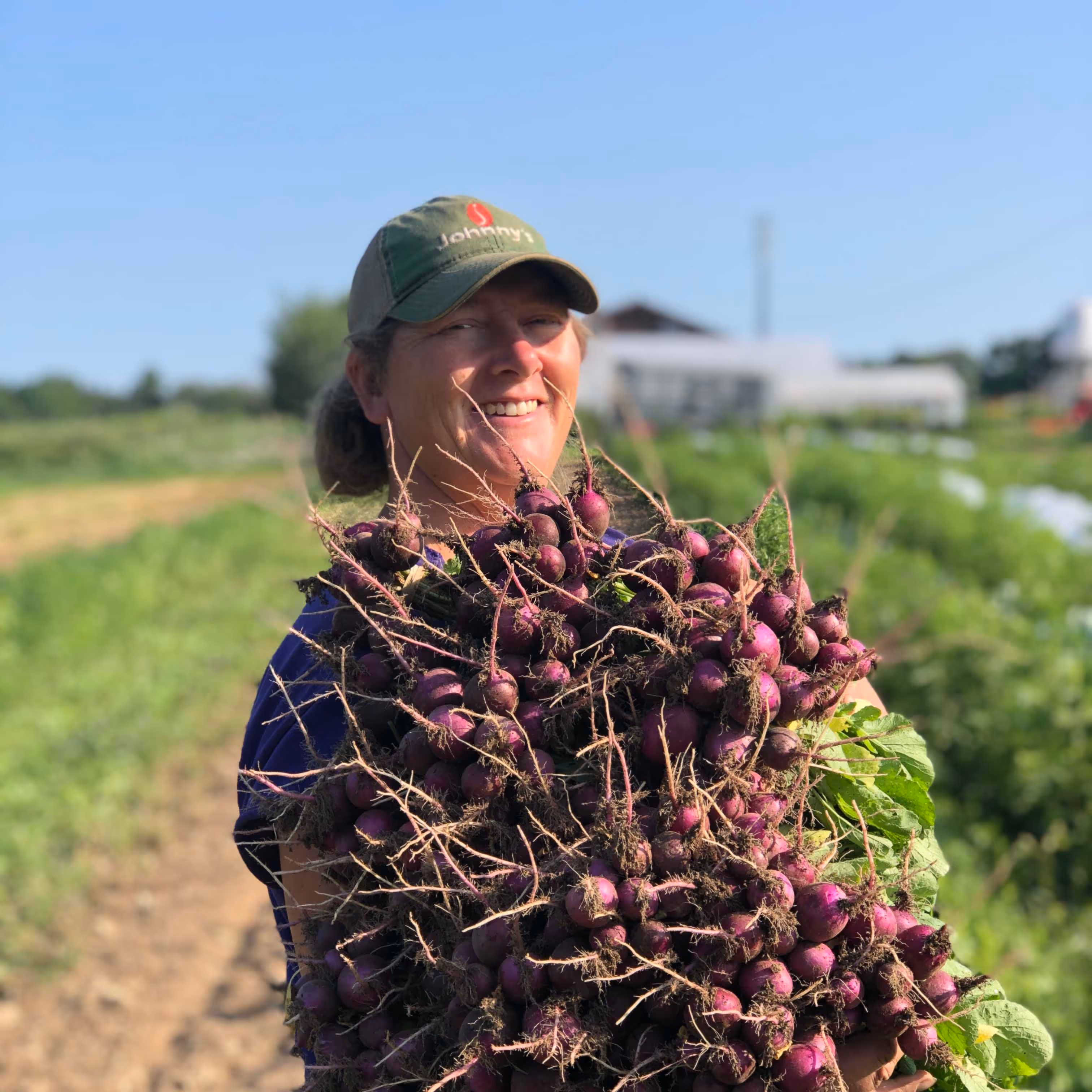 Farmer smiling while holding large bunch of freshly harvested purple radishes