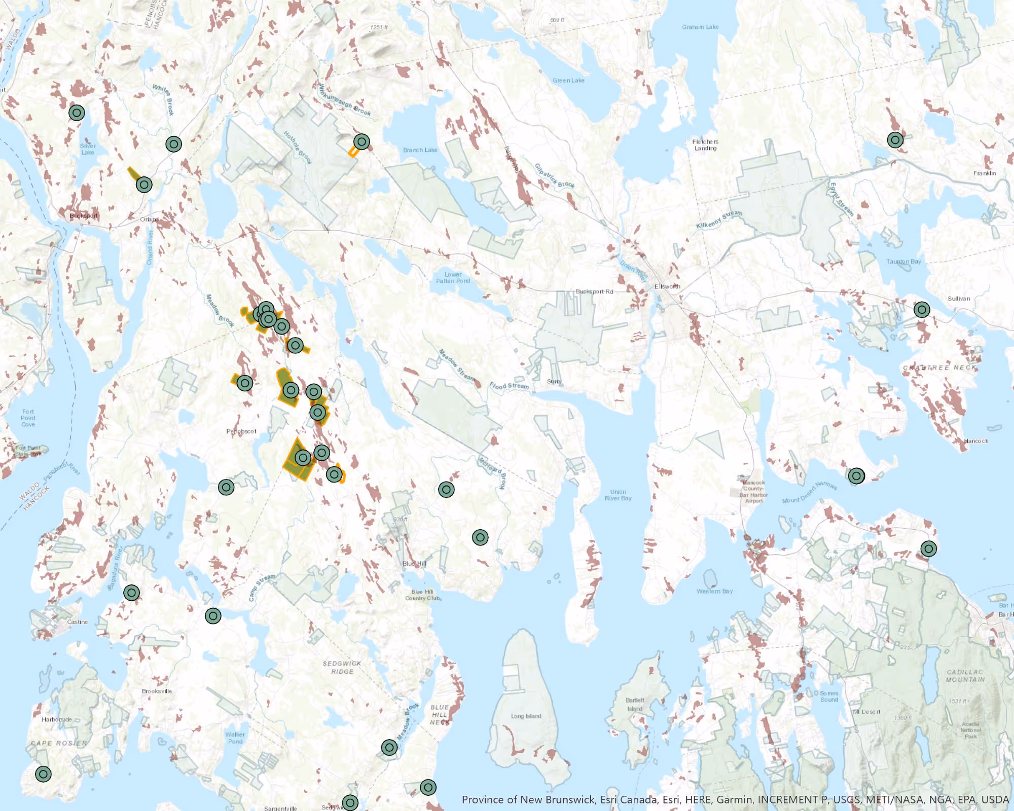 Map of New Brunswick with green and yellow location markers scattered across landscape