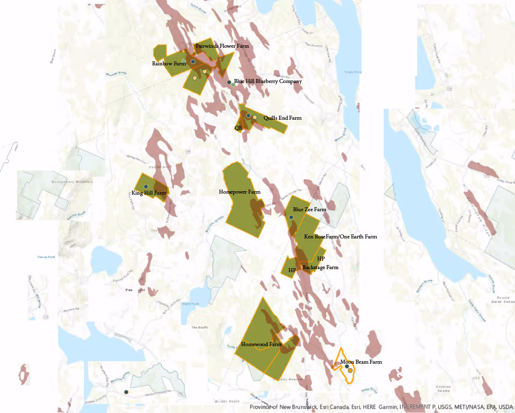 Map of farms in New Brunswick with green and yellow land parcels