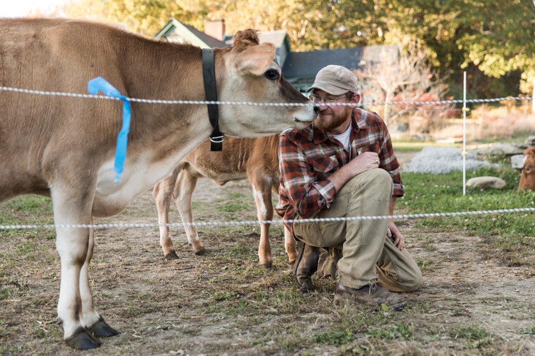 Farmer in plaid shirt with cow on rural farm with fenced pasture