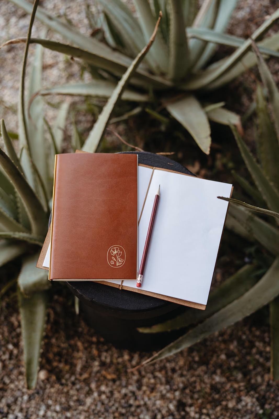 Casetta leather journal and pencil with cactus in the background