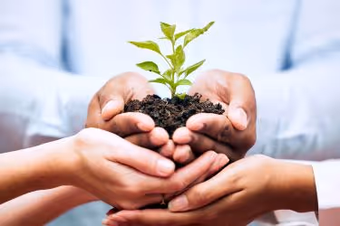 Eco-friendly concept - Holding a plant