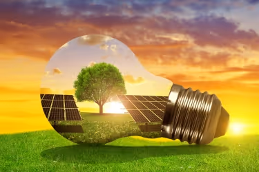 Sustainability Concept - Lightbulb and a tree