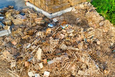 Wood Scraps from a pallet company