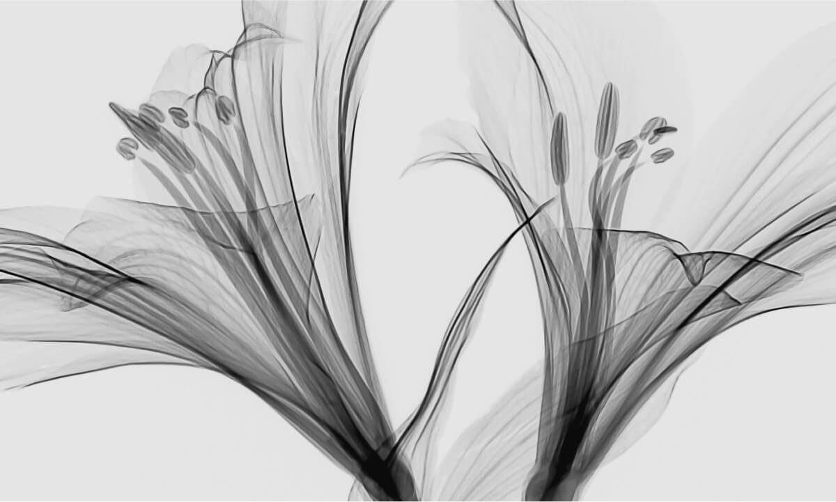 10 Quick Tips About Blogging