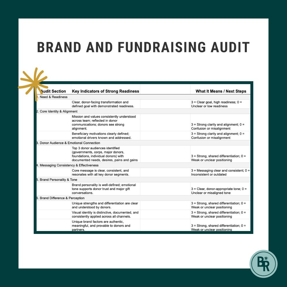Brand and Fundraising audit created by Brandraise