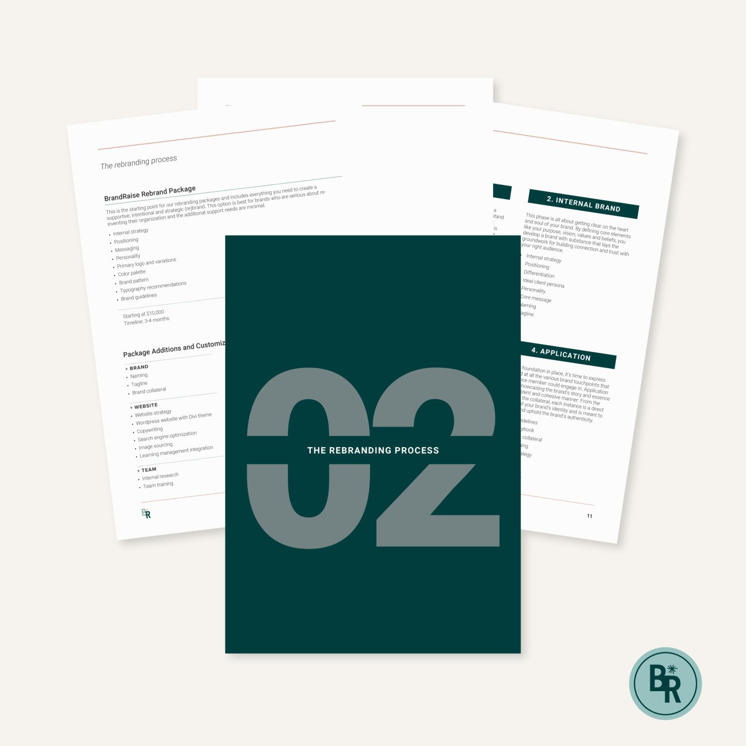 Fundraising document created by brandraise