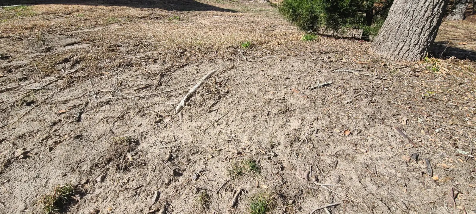 __wf_reserved_inherit