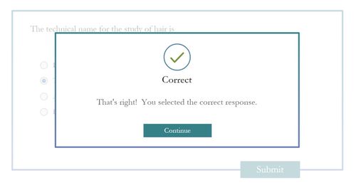 Feedback slide informing the user their answer is "Correct".