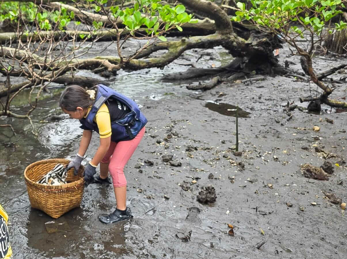 A child cleans trash from the mangroves as part of a clean up program in Bali