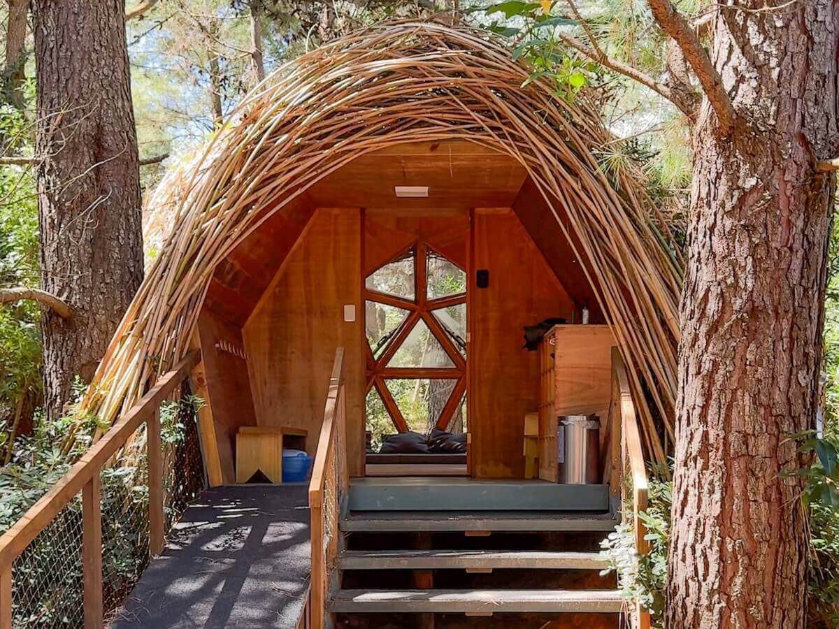 Portal Bosque huts in nature - things to do in La Barra with kids.
