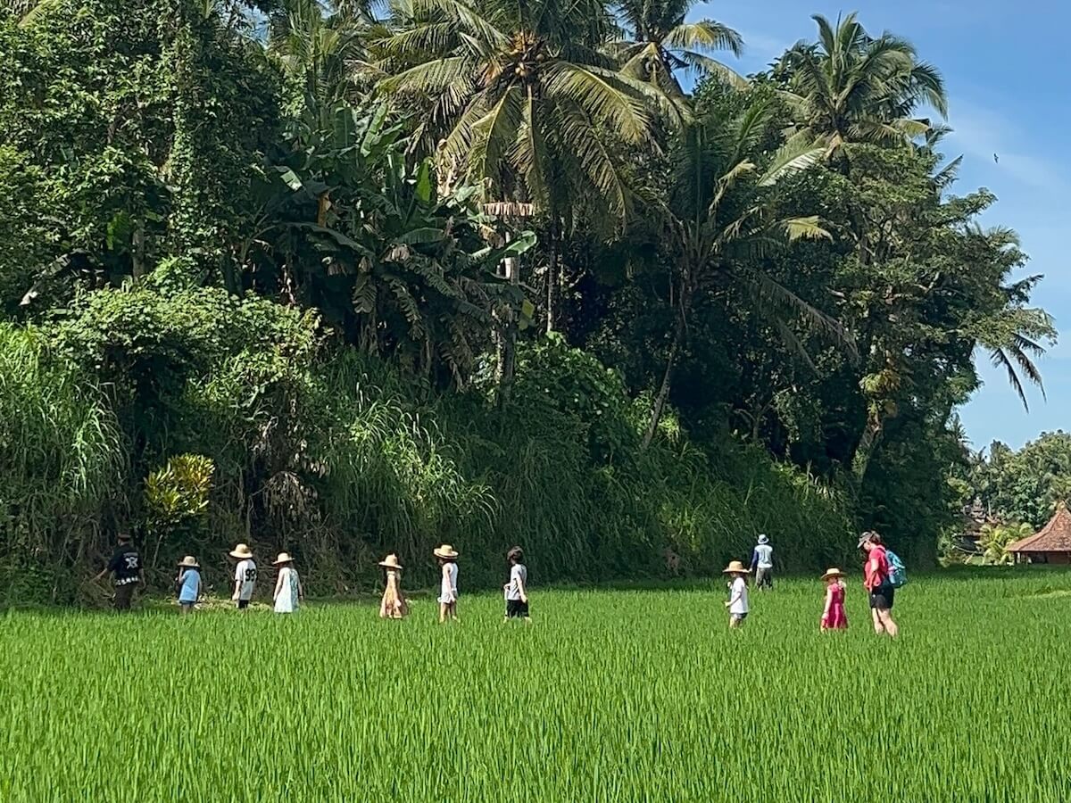 A Boundless Life group walk through rice paddies in Bali - a family travel guide