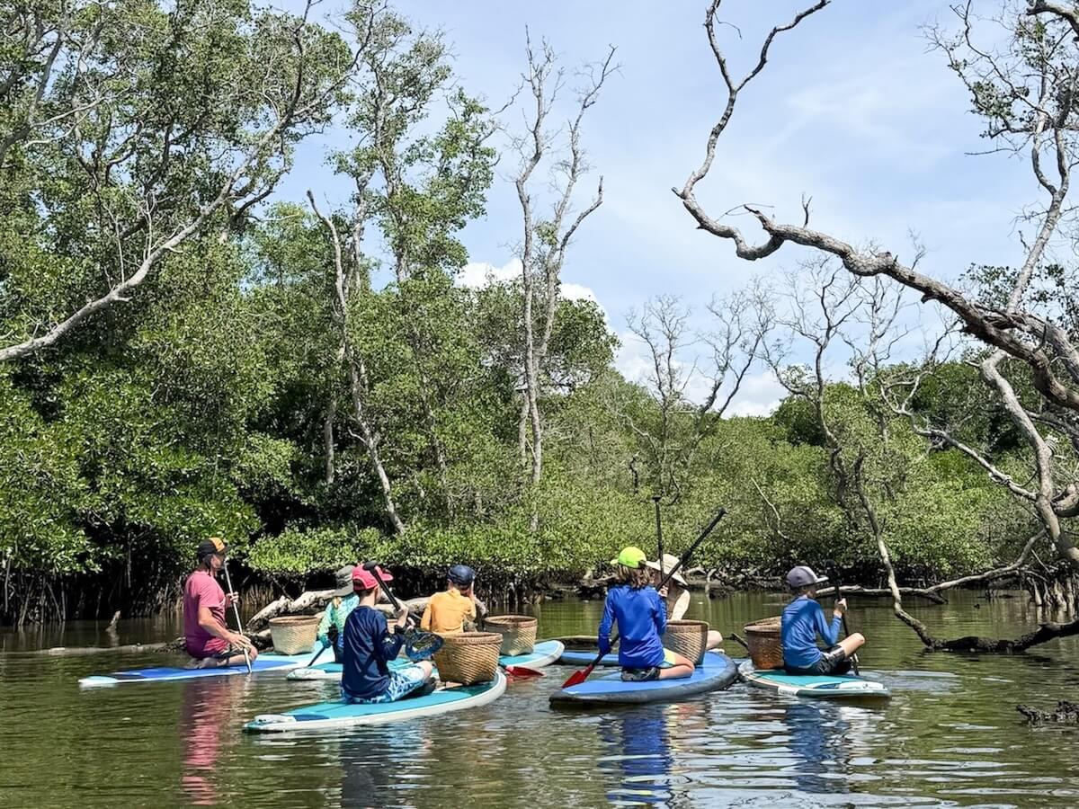 A Boundless Life cohort participating in a mangrove cleanup project in Sanur Bali