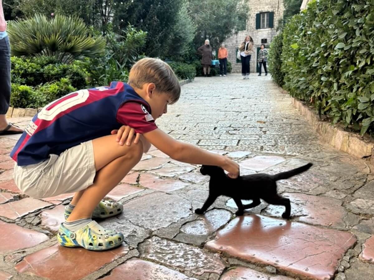 A kid pets a street cat in Kotor, Montenegro