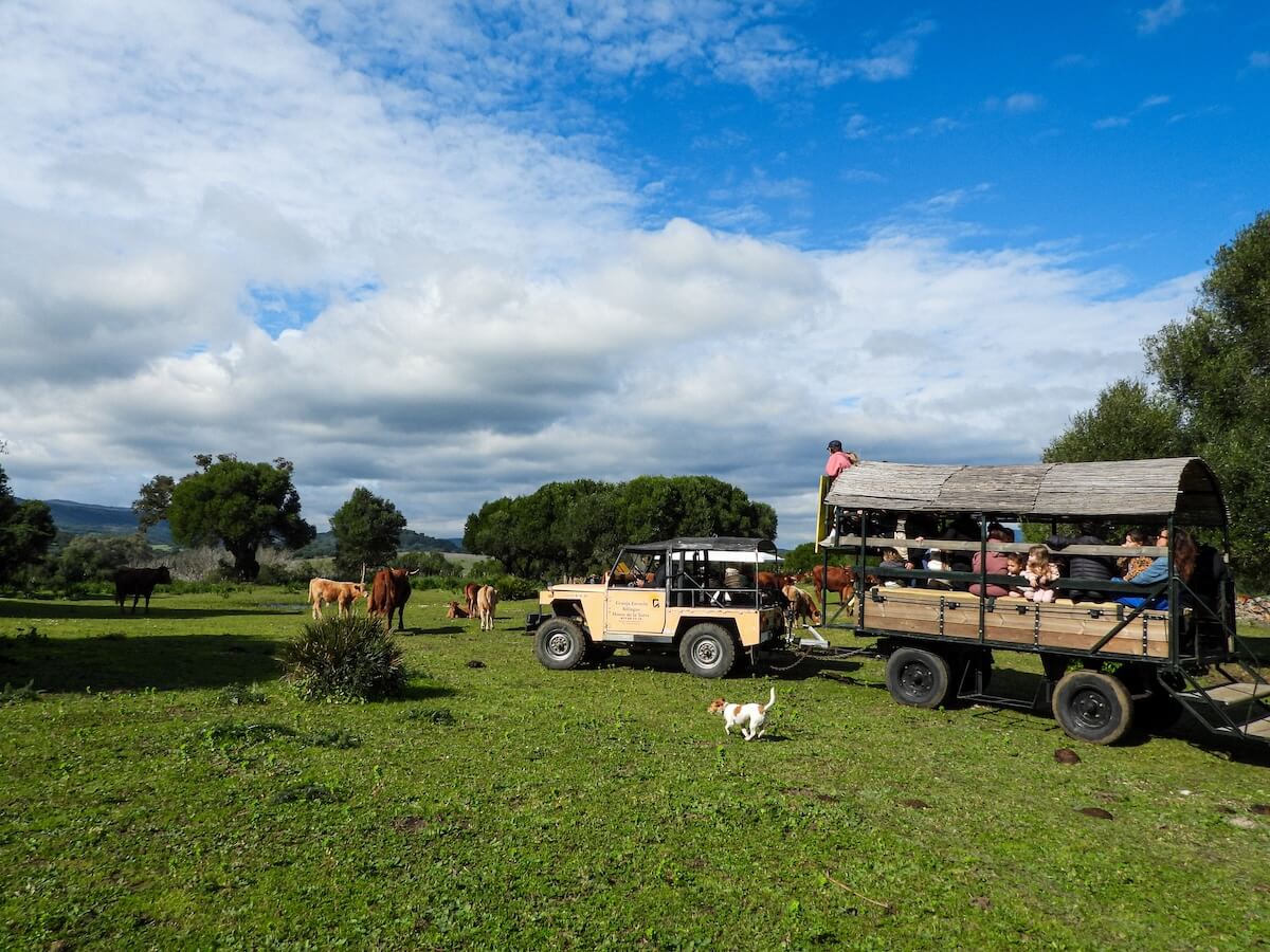 Families on a Boundless Life cohort experience worldschooling at a farm in Andalusia Spain