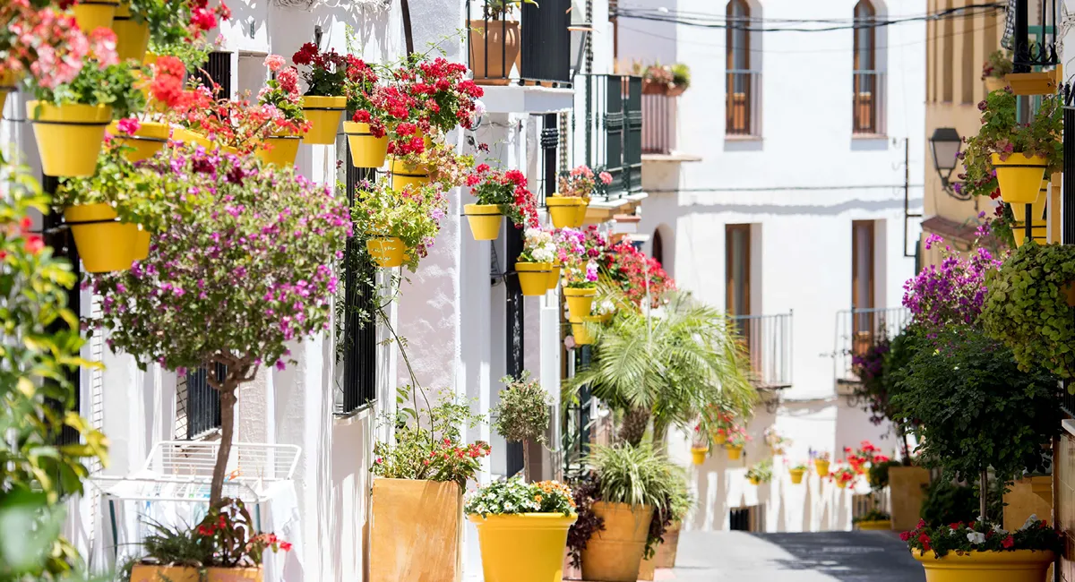 Boundless Life Andalusia, Estepona, Spain